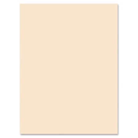 Pacon Corporation Pacon PAC5181 Tagboard; 9 in. x 12 in.; 100Shts; 12-PK; Manila PAC5181